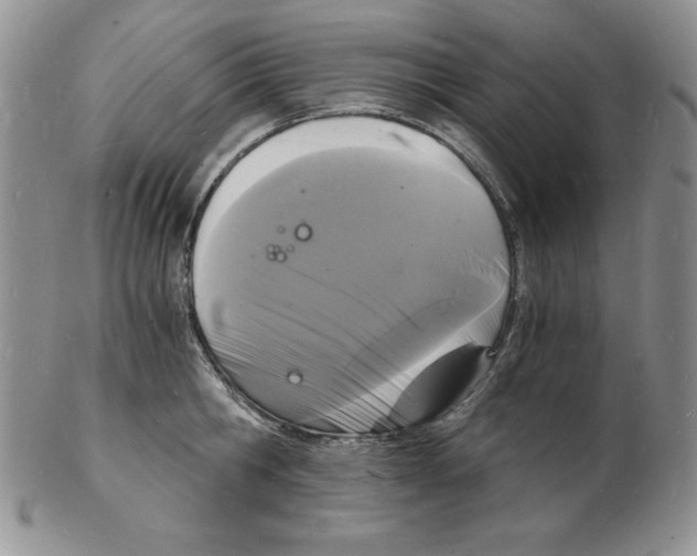 X0000102220806200808221244