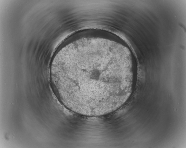 X0000102220807200808221244