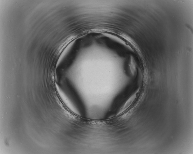 X0000102220809200808221244