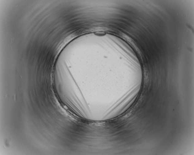 X0000102220810200808221244