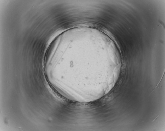 X0000102220811200808221244