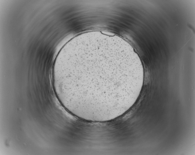 X0000102220812200808221244