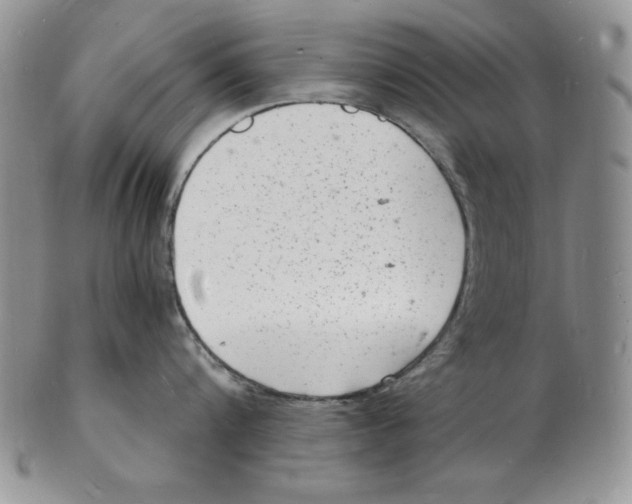 X0000102220816200808221244