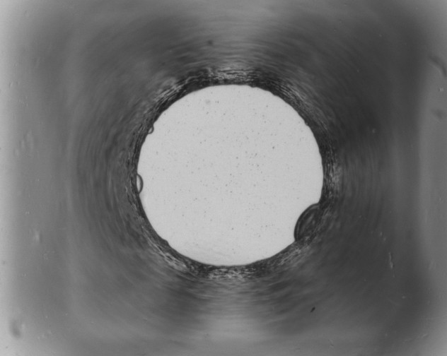 X0000102220817200808221244