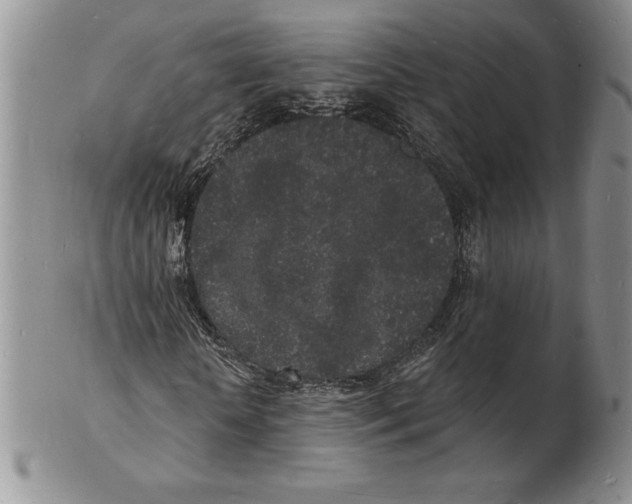 X0000102220818200808221244