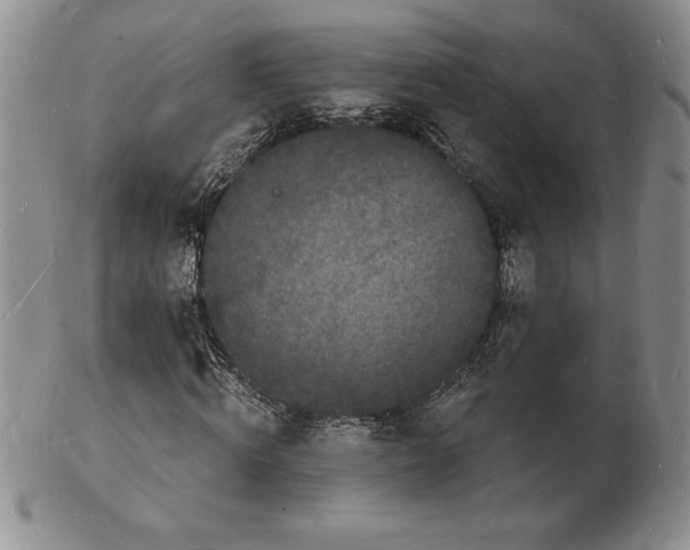 X0000102220820200808221244