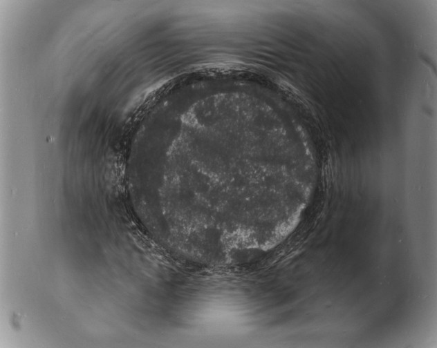 X0000102220822200808221244