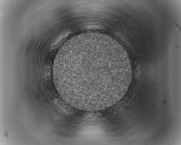 X0000102220824200808221244