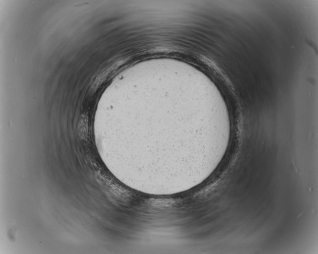 X0000102220825200808221244