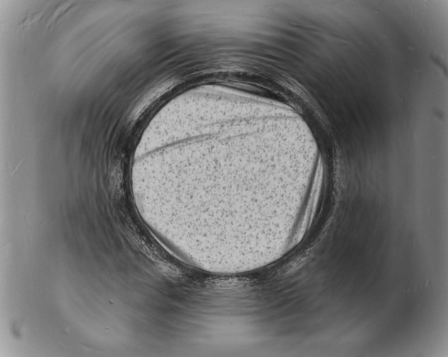 X0000102220826200808221244