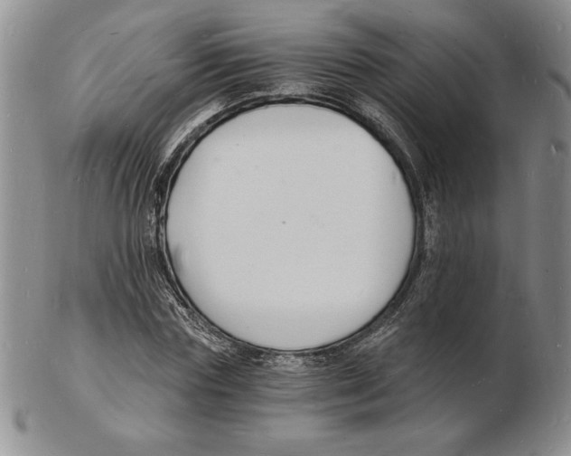 X0000102220827200808221244