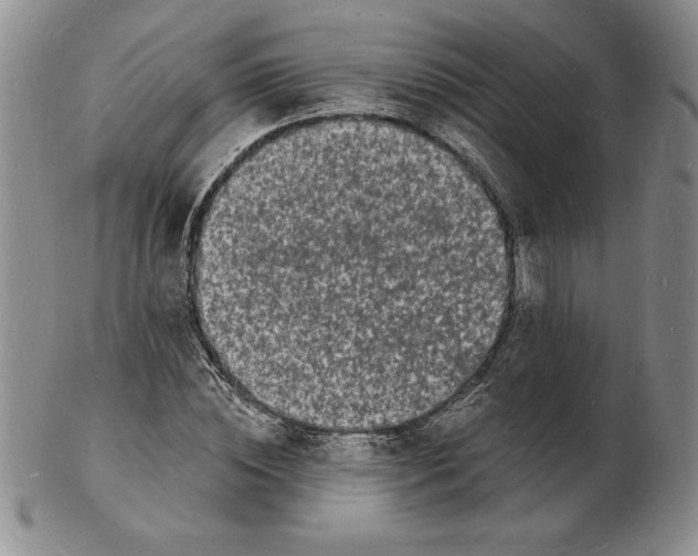 X0000102220828200808221244