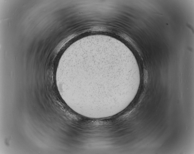 X0000102220829200808221244