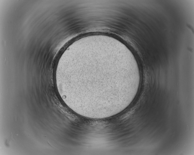 X0000102220830200808221244