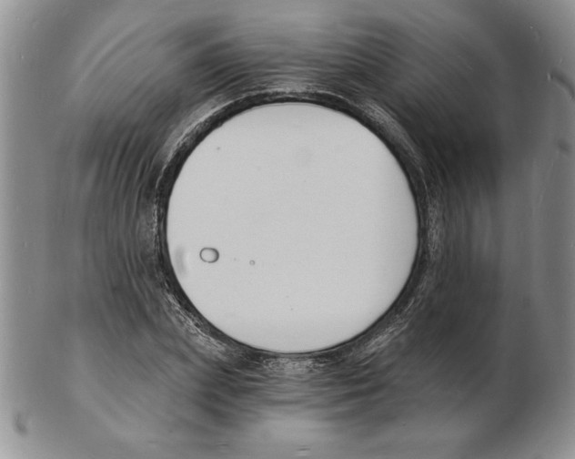 X0000102220831200808221244