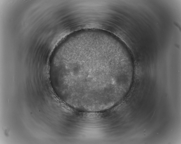 X0000102220832200808221244