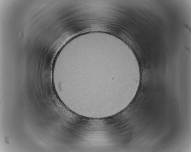 X0000102220836200808221244