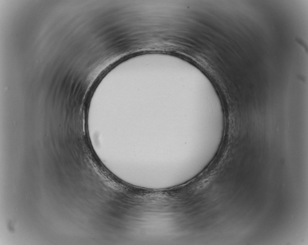 X0000102220838200808221244