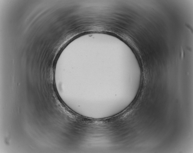 X0000102220839200808221244