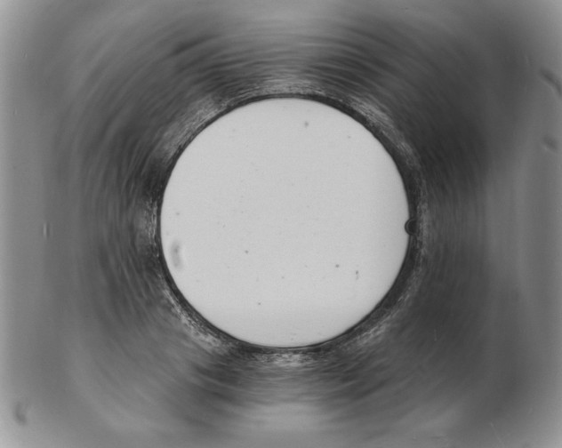 X0000102220841200808221244