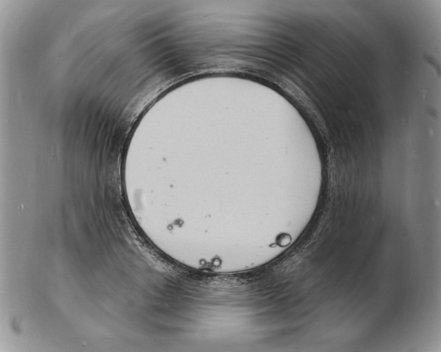 X0000102220842200808221244