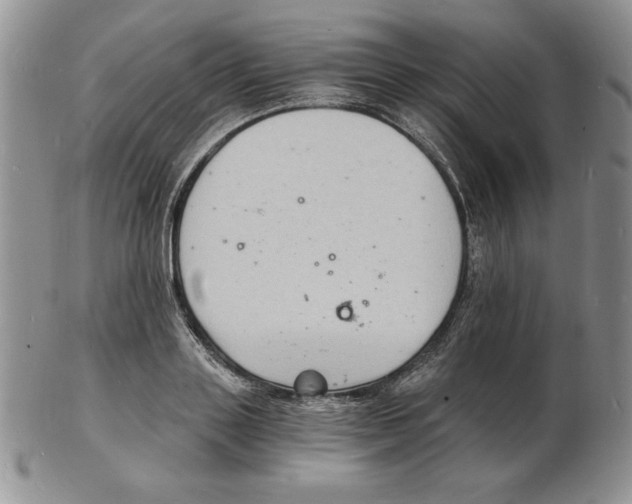 X0000102220843200808221244