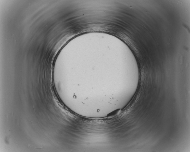 X0000102220844200808221244