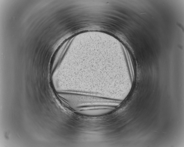 X0000102220845200808221244