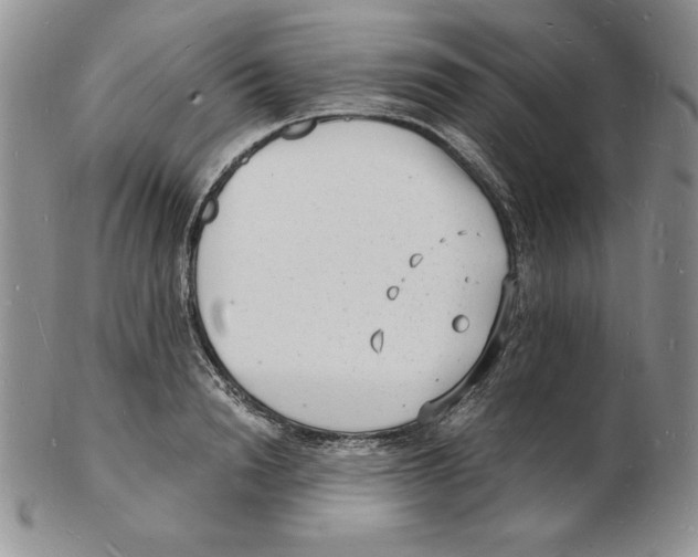 X0000102220846200808221244