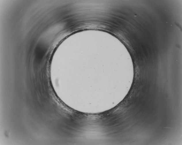 X0000102220848200808221244