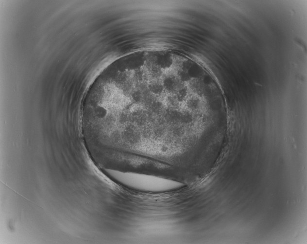 X0000102220851200808221244