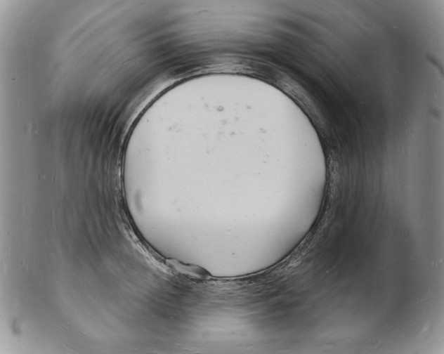 X0000102220852200808221244