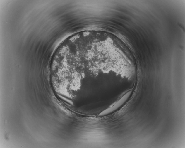 X0000102220854200808221244