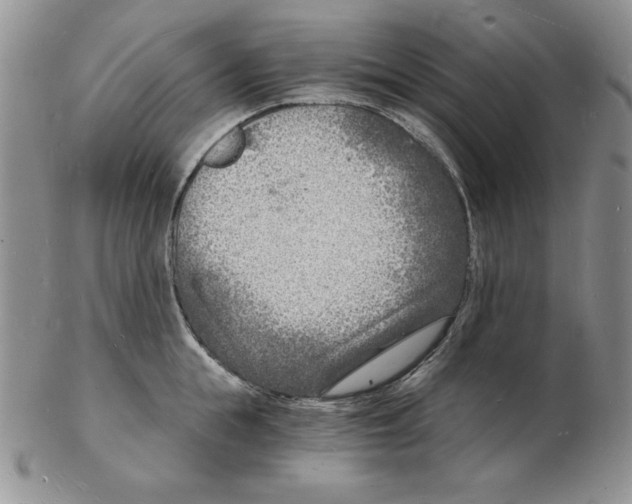 X0000102220855200808221244