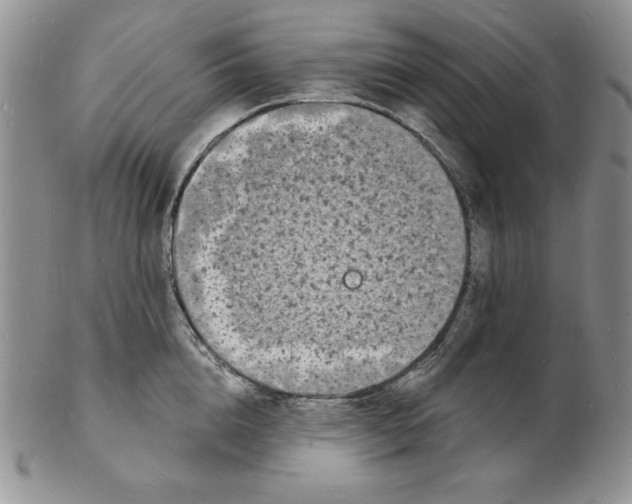 X0000102220856200808221244