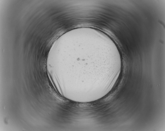 X0000102220857200808221244