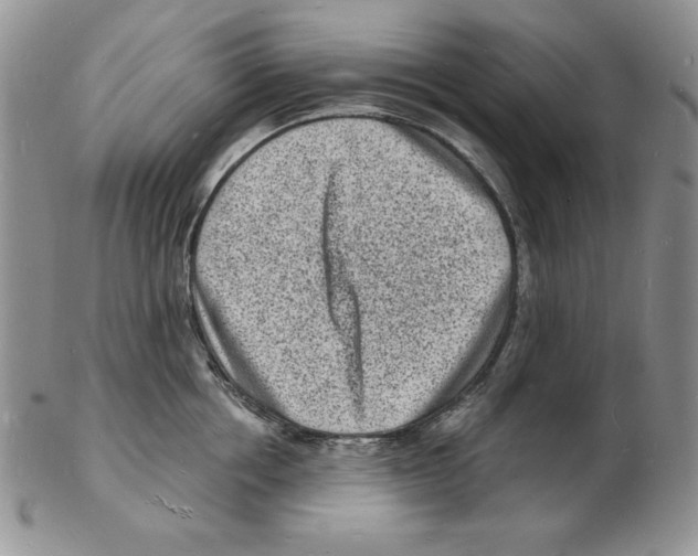 X0000102220858200808221244