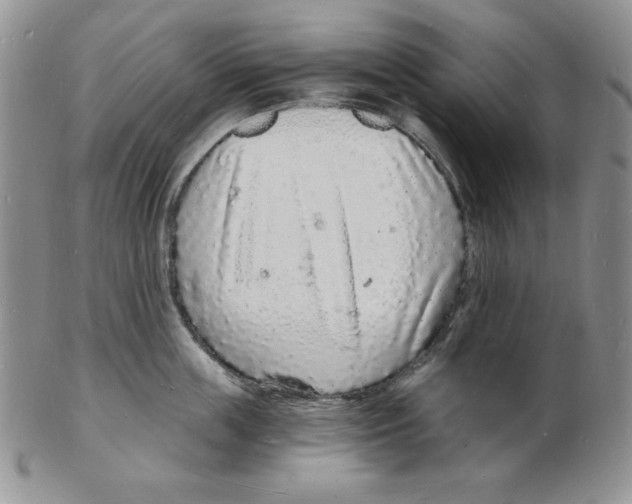 X0000102220859200808221244