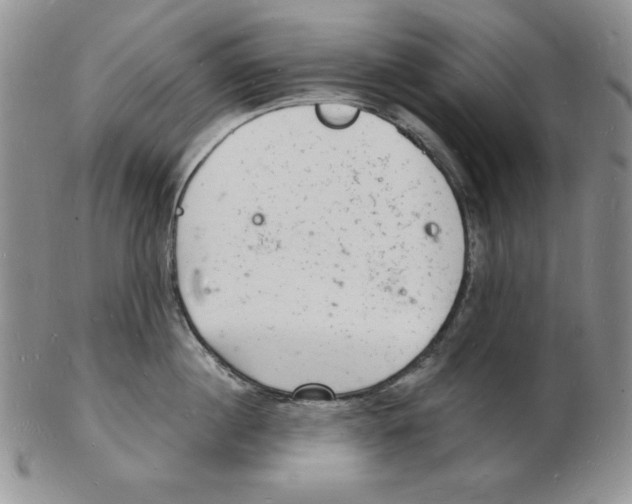 X0000102220860200808221244