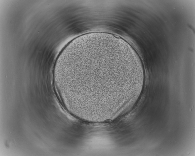 X0000102220862200808221244