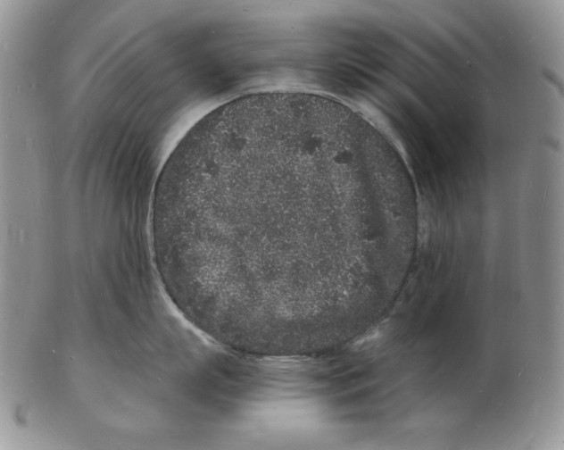 X0000102220863200808221244