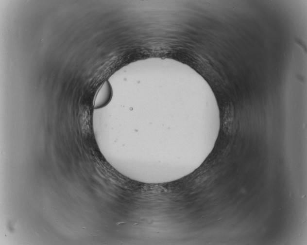 X0000102220866200808221244