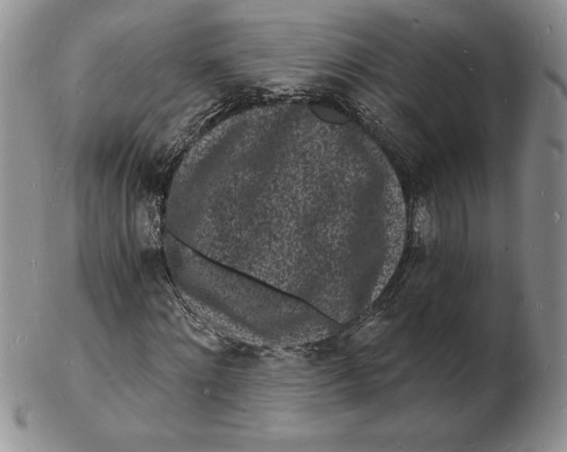 X0000102220868200808221244