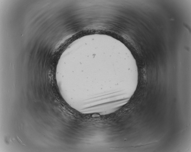 X0000102220872200808221243