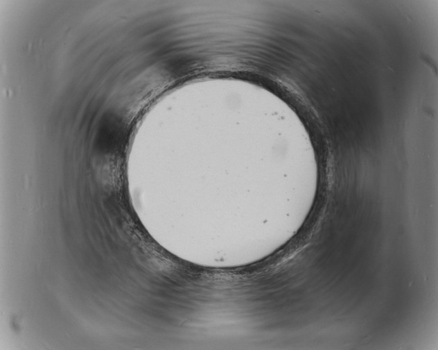 X0000102220873200808221243