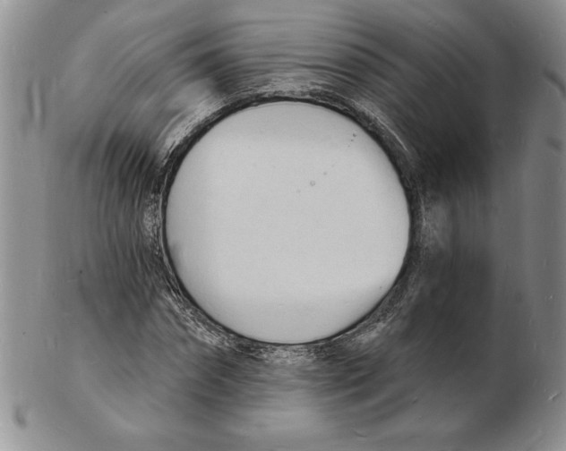 X0000102220874200808221243