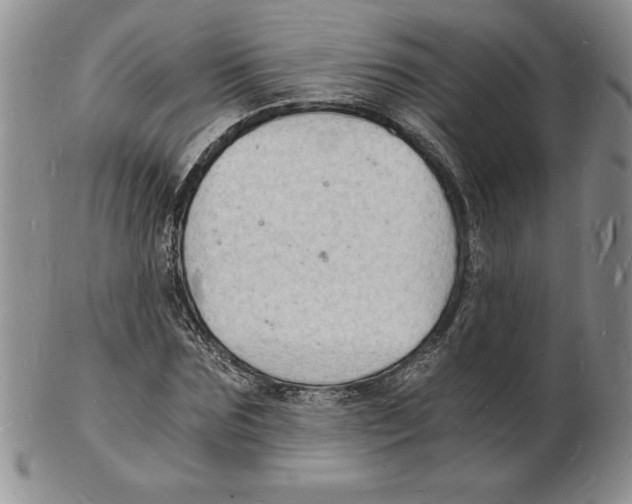 X0000102220875200808221243