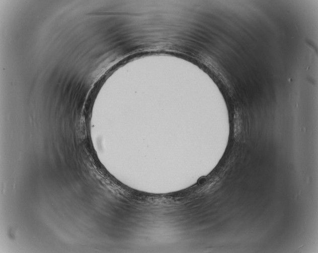 X0000102220876200808221243