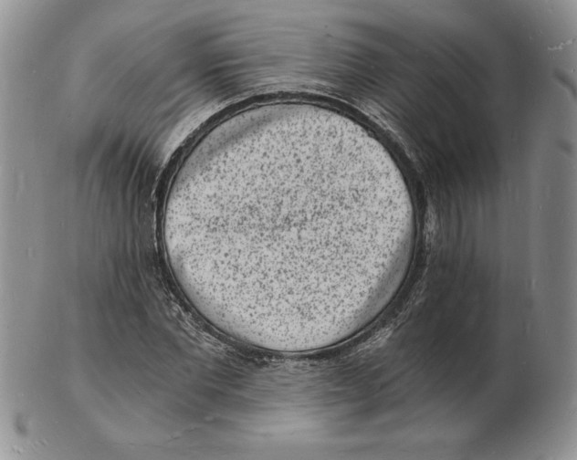 X0000102220877200808221243