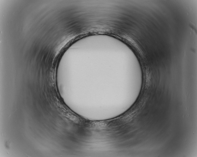 X0000102220878200808221243